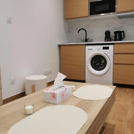 Apartment Le Strasbourgeois Moderne & Neuf Voyage En Alsace *