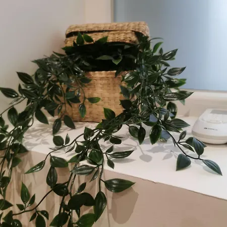 Le Strasbourgeois Moderne & Neuf Voyage En Alsace *