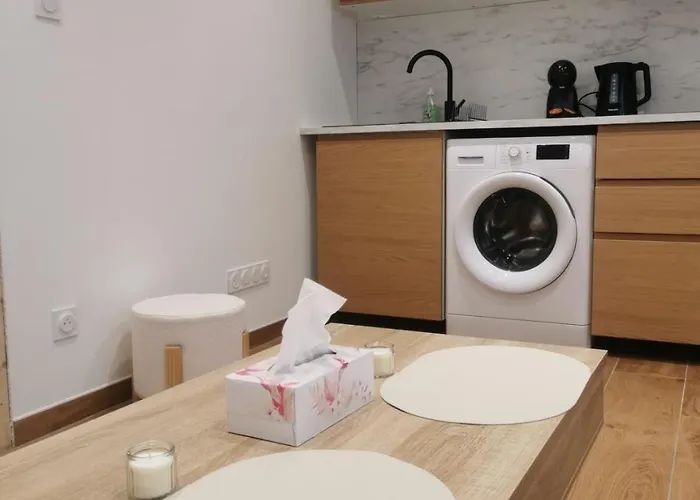 Appartement Le Strasbourgeois Moderne & Neuf Voyage En Alsace *