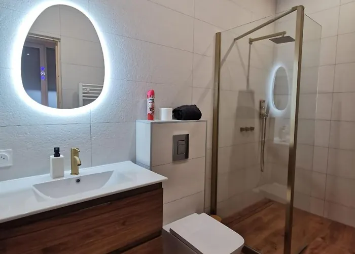 Appartement Le Strasbourgeois Moderne & Neuf Voyage En Alsace Straatsburg