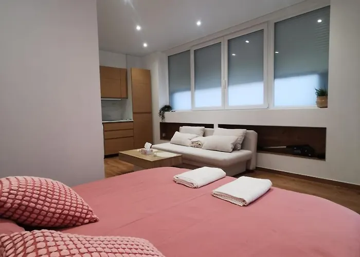 Appartement Le Strasbourgeois Moderne & Neuf Voyage En Alsace Straatsburg